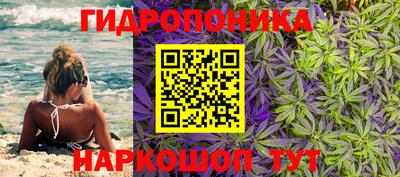 твердый Краснодар