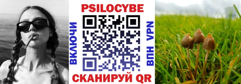 сколько стоит  Партизанск  Галлюциногенные грибы Psilocybine cubensis 