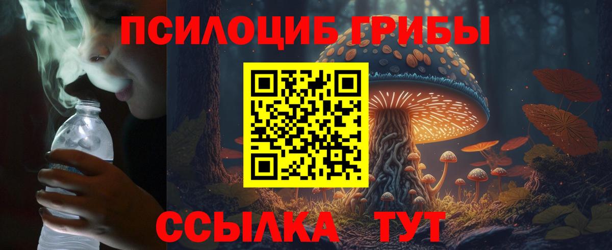 Галлюциногенные грибы мицелий  Вход с VPN  Псилоцибиновые грибы ЛСД  Партизанск 